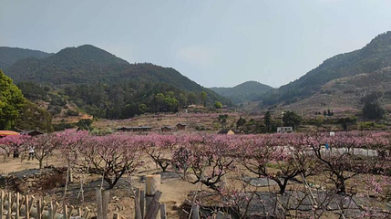 葛南板穆阳桃花岛第 1 张图片