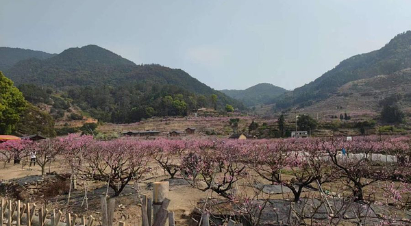 葛南板穆阳桃花岛