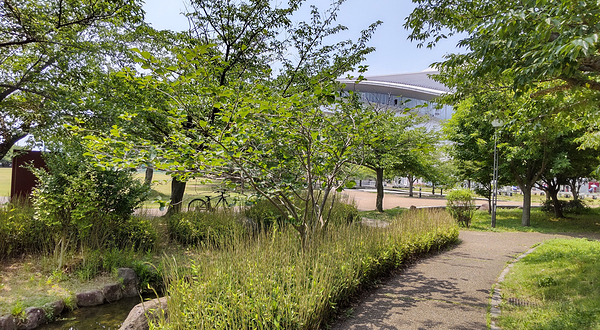 御崎公园球技场