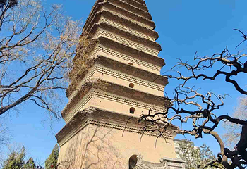 小雁塔遗址公园第 44 张图片