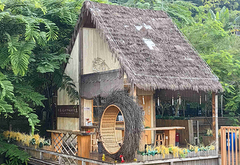 德天跨国瀑布景区第 37 张图片
