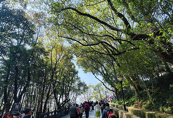 普陀山风景区第 336 张图片