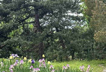 国家植物园(原北京植物园)第 45 张图片