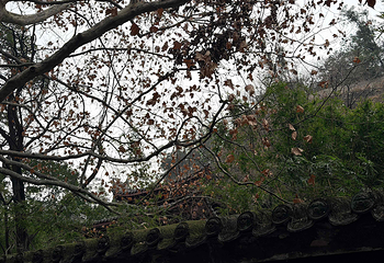 皇泽寺第 22 张图片