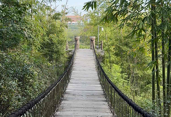 成都大熊猫繁育研究基地第 389 张图片