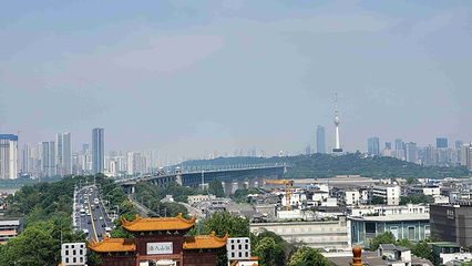 黄鹤楼第 118 张图片