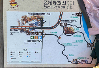 额济纳胡杨林旅游区第 80 张图片