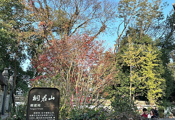 桐君山第 43 张图片
