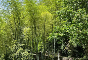 石舍村第 34 张图片