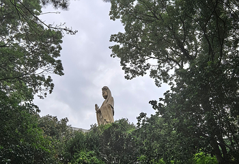 普陀山风景区第 351 张图片