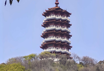 古隆中第 156 张图片