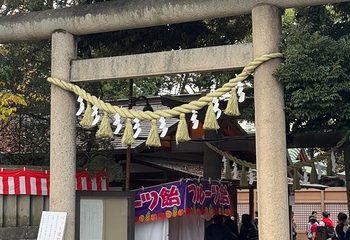 冰川神社第 17 张图片