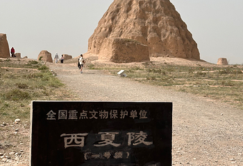 西夏陵第 412 张图片