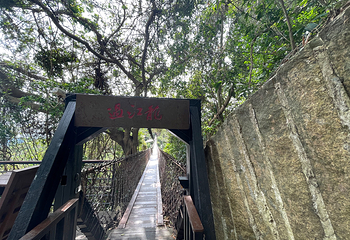 亚龙湾热带天堂森林公园第 212 张图片