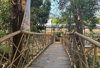曼掌村第 17 张图片