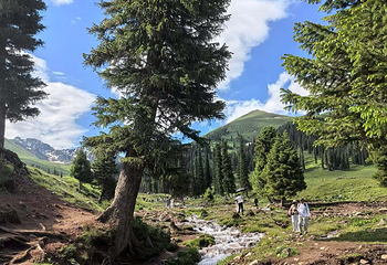 那拉提旅游风景区第 136 张图片