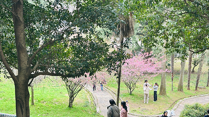 武汉大学第 64 张图片