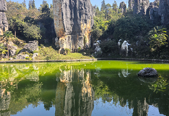石林风景区第 162 张图片
