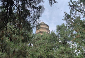 宝塔山第 82 张图片