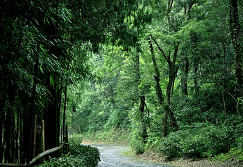 黄公望隐居地第 44 张图片