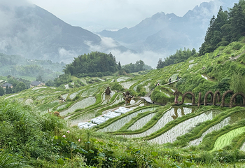 云和梯田景区第 66 张图片