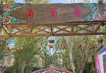 葡萄沟第 66 张图片