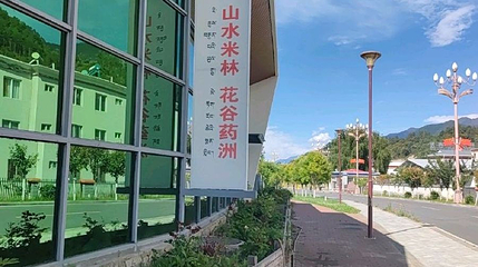 山水米林花谷药洲第 1 张图片