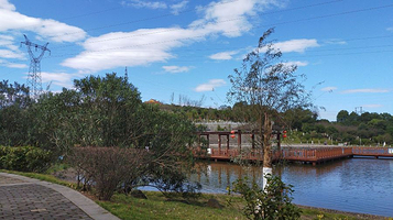 苏仙区文化公园