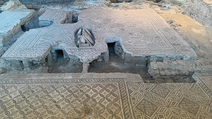 Domus del Chirurgo第 11 张图片