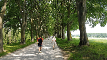 Le Mura di Ferrara第 4 张图片