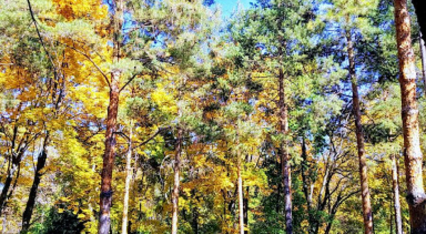 Tennis Quality обучение в Большой Теннис Алматы.С 3х лет в секции тенниса. Аренда кортов