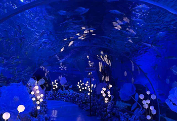 海趣花都海洋世界第 27 张图片