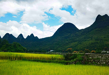 万峰林景区第 174 张图片