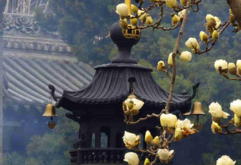 广仁寺第 37 张图片