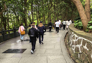 普陀山风景区第 401 张图片