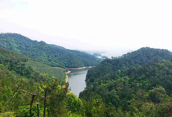 天屿山观景台第 68 张图片