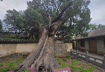嵩阳书院第 13 张图片