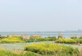 阳澄湖第 55 张图片