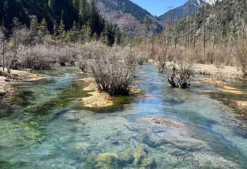 九寨沟风景区第 570 张图片