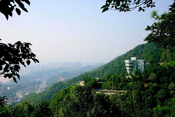 南山风景区第 87 张图片