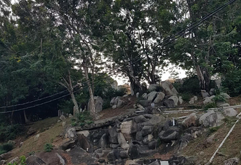 皇家山第 26 张图片