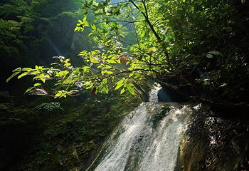 金丝峡景区第 20 张图片
