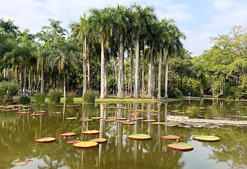 中国科学院西双版纳热带植物园第 50 张图片
