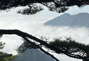 黄山风景区第 282 张图片