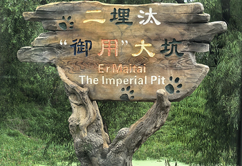 东北虎林园第 144 张图片