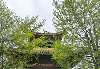 都江堰景区第 133 张图片
