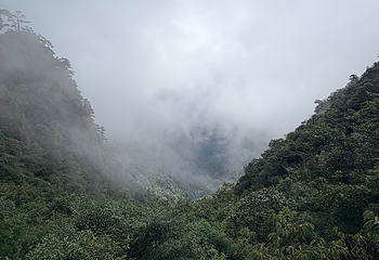 莽山五指峰景区第 160 张图片