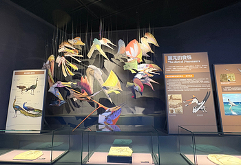 辽宁朝阳鸟化石国家地质公园第 37 张图片
