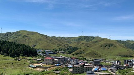 高山红哨第 1 张图片