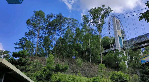 快活谷乐园-森林探险